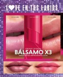 Catálogo Cyzone Página 38