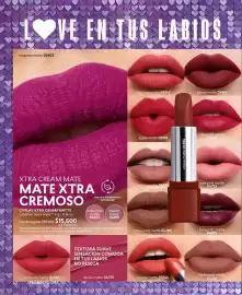 Catálogo Cyzone Página 42