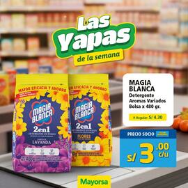 Catálogo Mayorsa semana 2 Página 3