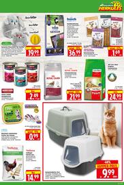 Herkules Baumarkt Prospekt woche 2 Seite 11