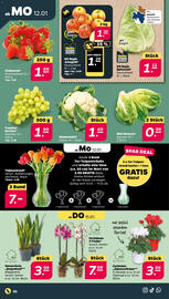 NETTO Prospekt woche 3 Seite 2