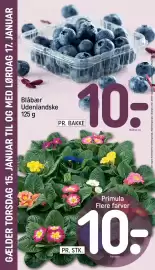 REMA 1000 tilbudsavis uge 3 Side 28