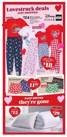 Giant Tiger flyer week 2 Page 5