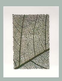 Catálogo Porcelanosa Página 15