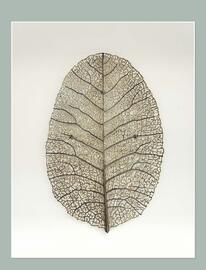 Catálogo Porcelanosa Página 57