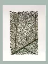 Catálogo Porcelanosa Página 15