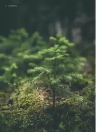 Catálogo Porcelanosa Página 42