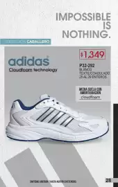 Catálogo Cklass Página 29