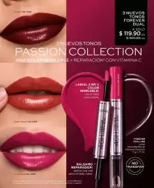 Catálogo L'Bel Página 112