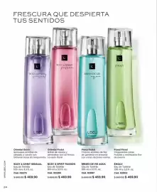 Catálogo L'Bel Página 24