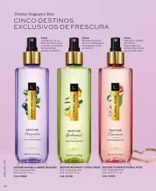 Catálogo L'Bel Página 26