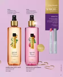 Catálogo L'Bel Página 27