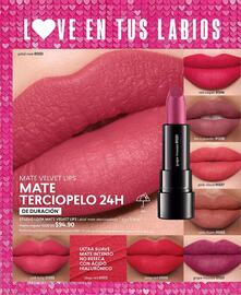 Catálogo Cyzone Página 100