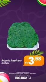 Encarte Big Box Página 22