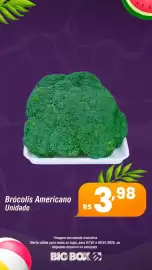 Encarte Big Box Página 22