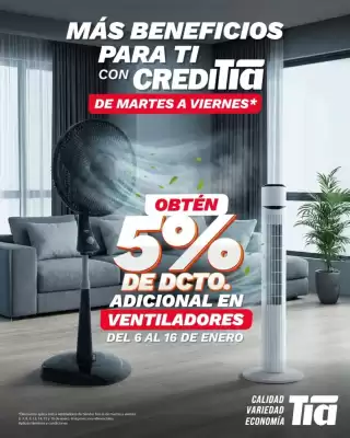 Catálogo Tia (válido hasta 16-01)