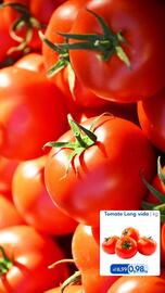 Catálogo Supermercados Baklizi Página 5