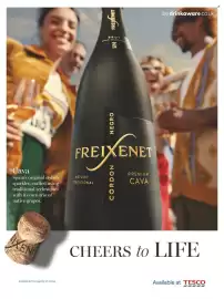 Tesco leaflet Page 99