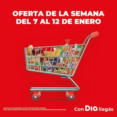 Folleto Supermercados DIA (válido hasta 12-01)