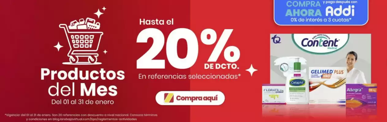 Catálogo La Rebaja (válido hasta 31-01)