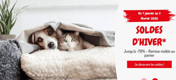 Catalogue Médor et Compagnie page 1