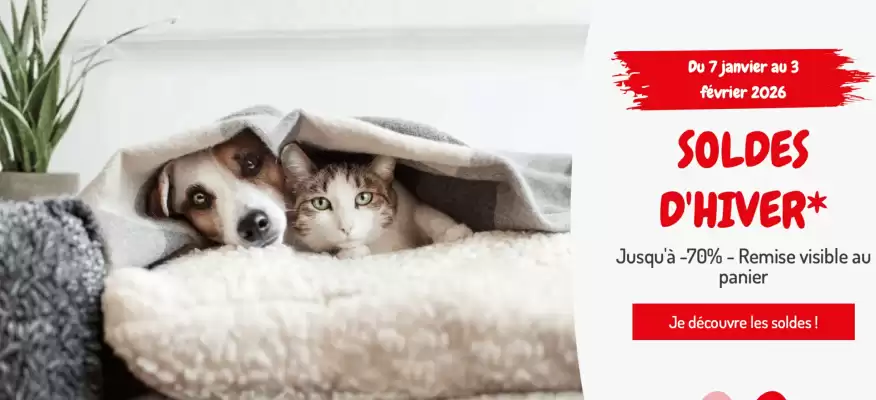 Catalogue Médor et Compagnie (valable jusqu'au 3-02)