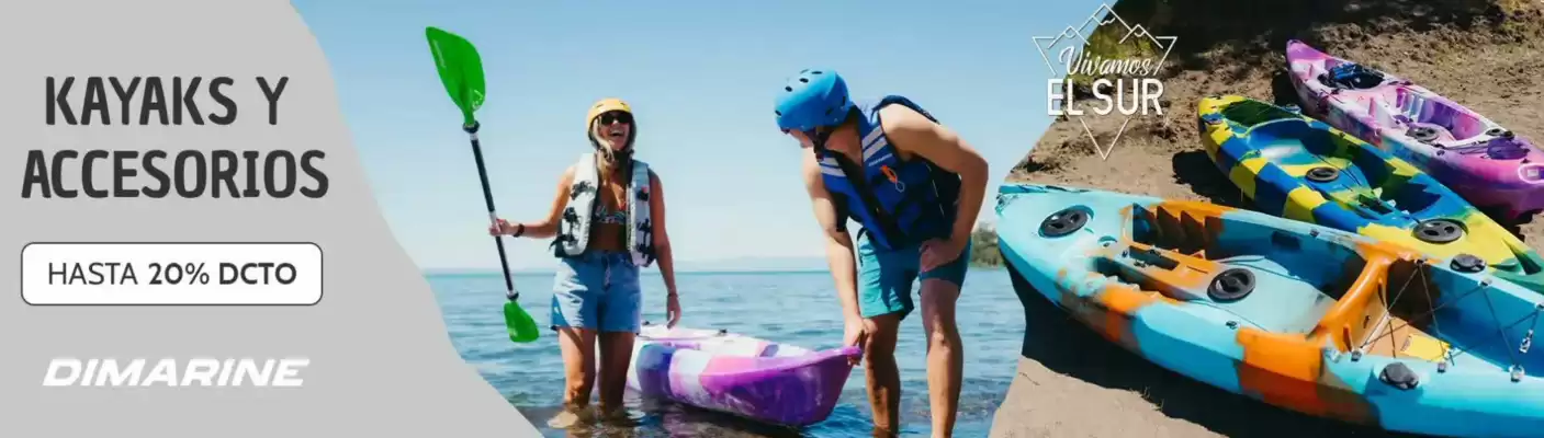 Catálogo Dimarsa (válido hasta 22-01)