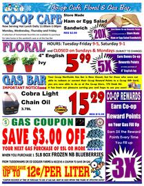 Co-op Atlantic flyer week 2 Page 3