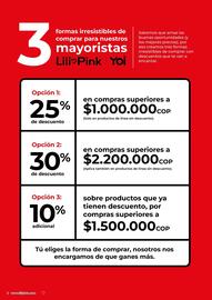 Catálogo Lili Pink Página 2