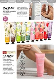 Catálogo Lili Pink Página 209