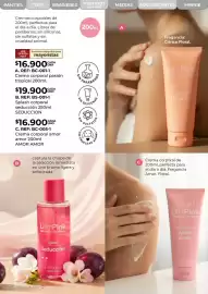 Catálogo Lili Pink Página 208