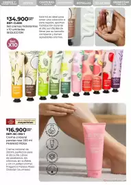 Catálogo Lili Pink Página 209