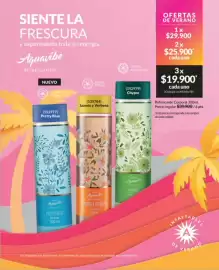 Catálogo Avon Página 23