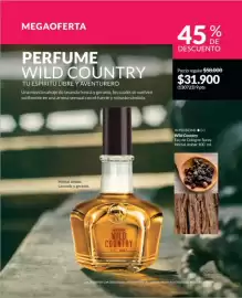 Catálogo Avon Página 85