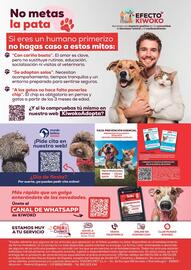 Folleto Kiwoko Página 20