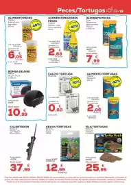 Folleto Kiwoko Página 19