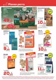 Folleto Kiwoko Página 2