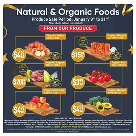 Healthy Planet flyer Page 5