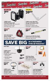 Princess Auto flyer Page 31