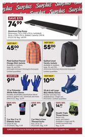 Princess Auto flyer Page 38