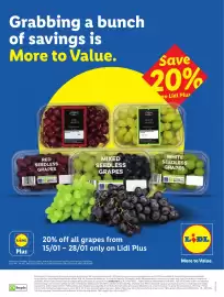 Lidl leaflet week 3 Page 26