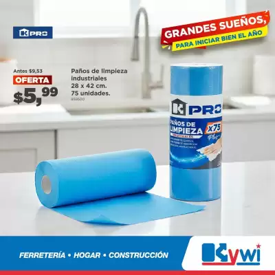 Catálogo Kywi (válido hasta 8-01)