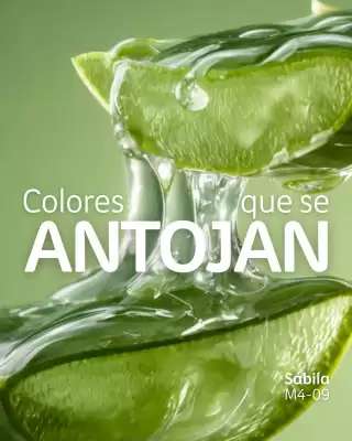 Catálogo Comex (válido hasta 8-01)