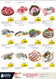 Nesto catalogue Page 24