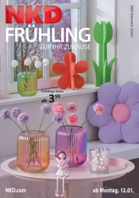 NKD Prospekt (gültig bis 1-02)