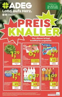 ADEG Flugblatt (gültig bis 14-01)