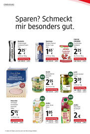 Dm Flugblatt Seite 6