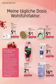 Dm Flugblatt Seite 12