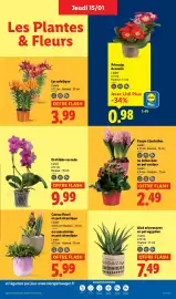 Catalogue Lidl semaine 3 page 27