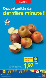 Catalogue Lidl semaine 3 page 5